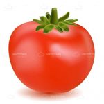 Illustrated Bright Red Tomato